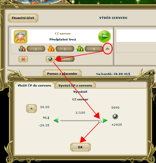 InMoney/serv_in_cz.png
